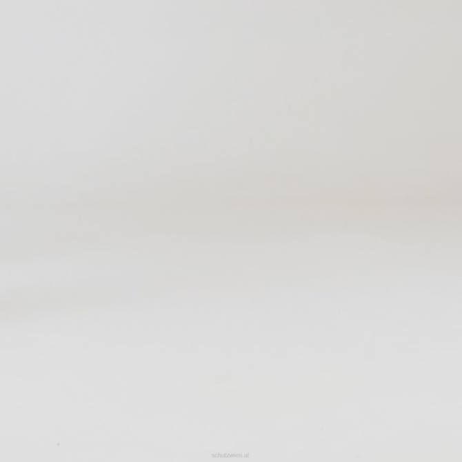 bei Schutz Anne Mid-Sandale aus Nappaleder Weiss D60T333