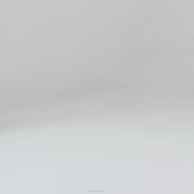 bei Schutz Posseni-Sandale Schwarz D60T316